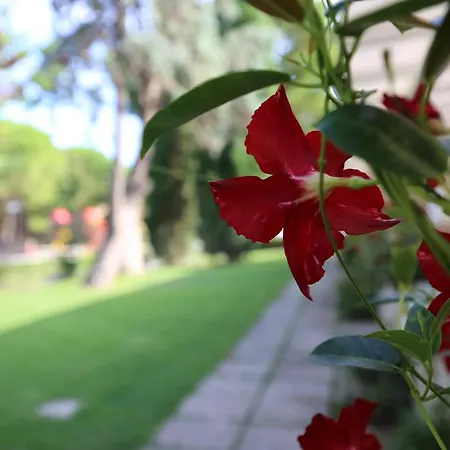 Garden Village Сироло