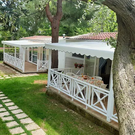 绿色花园村旅馆